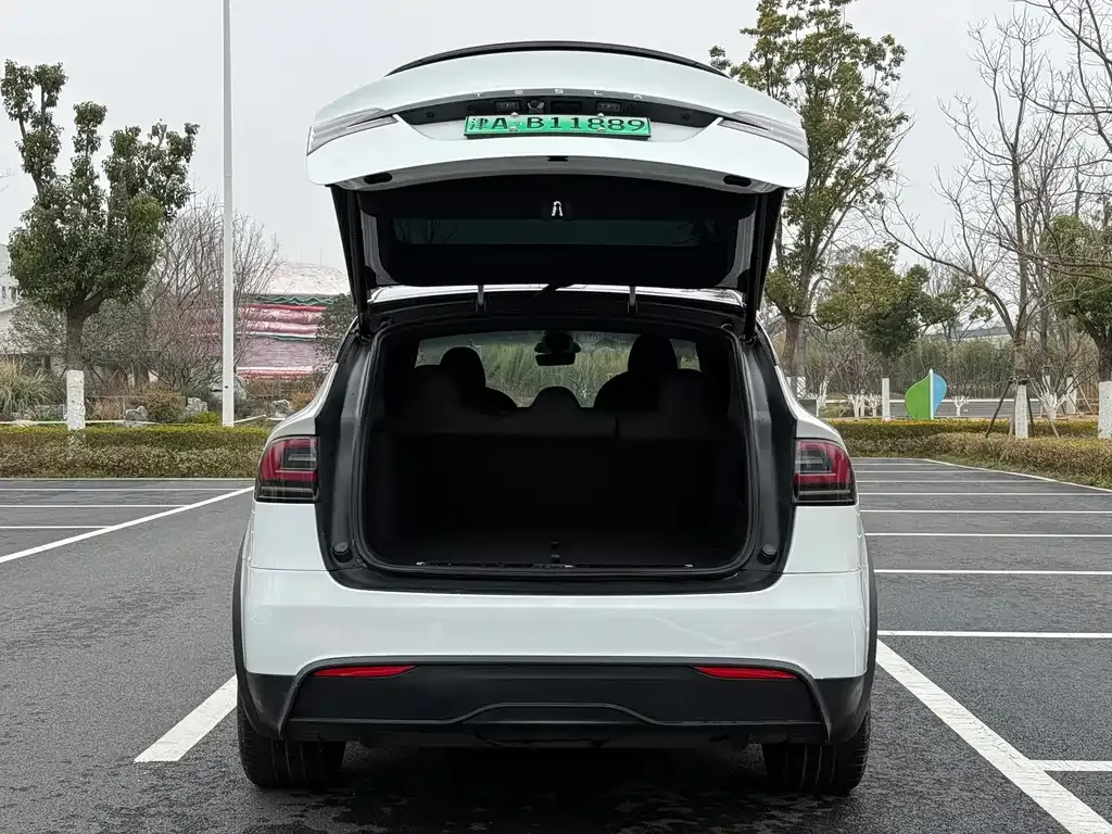 Tesla Model X — фото 6