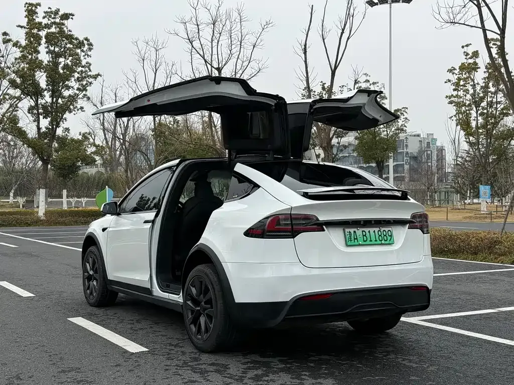 Tesla Model X — фото 9