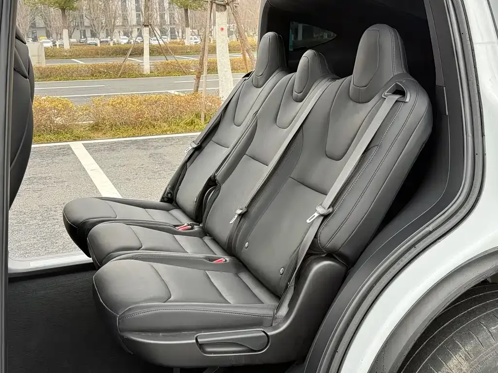 Tesla Model X — фото 4