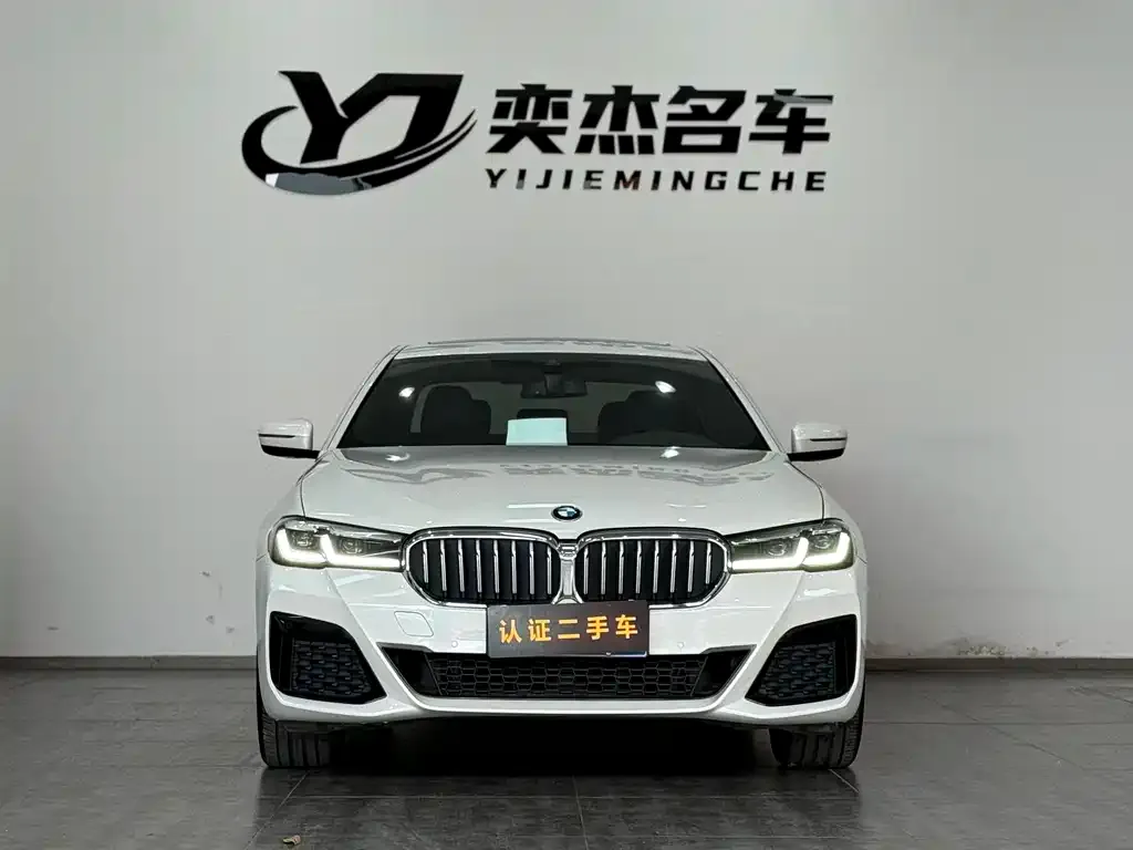 BMW 5 Series 2023 из CN, фото 2