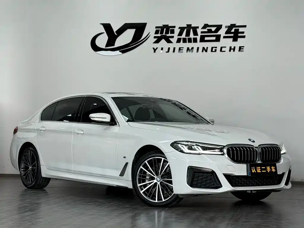 BMW 5 Series 2023 из CN, фото 8