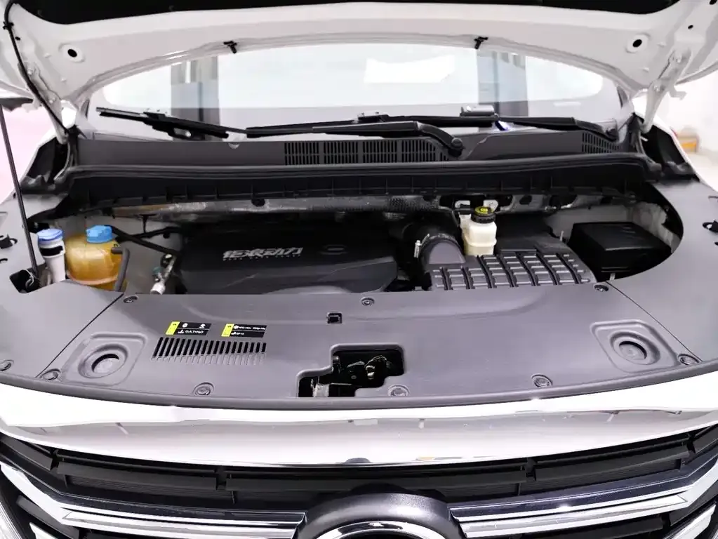 GAC Motor Trumpchi M8 2022 из CN, фото 10