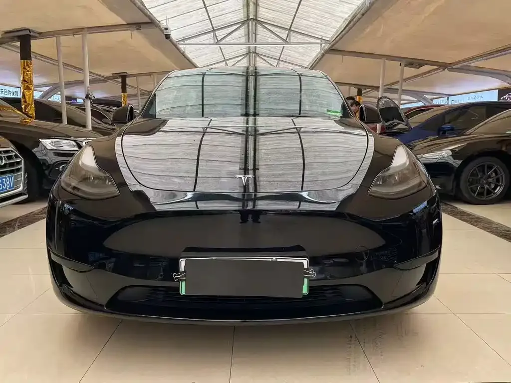 Tesla Model Y 2022 из CN, фото 6