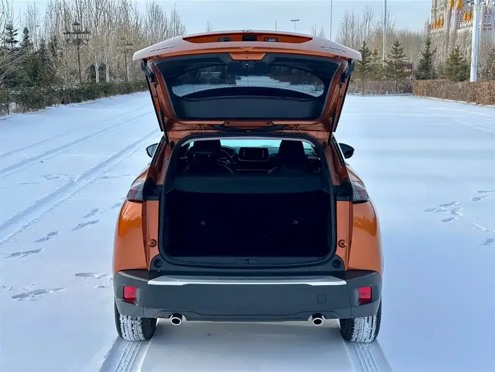 Peugeot 2008 2022 из CN, фото 2