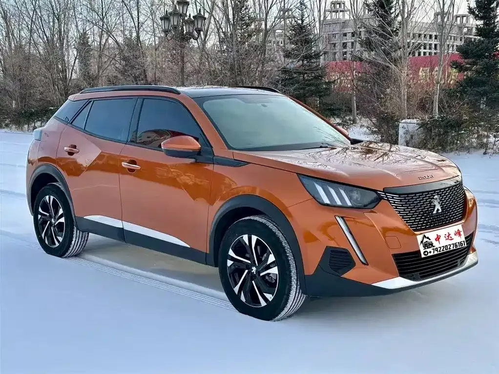 Peugeot 2008 2022 из CN, фото 5