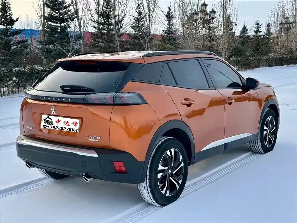 Peugeot 2008 2022 из CN, фото 9