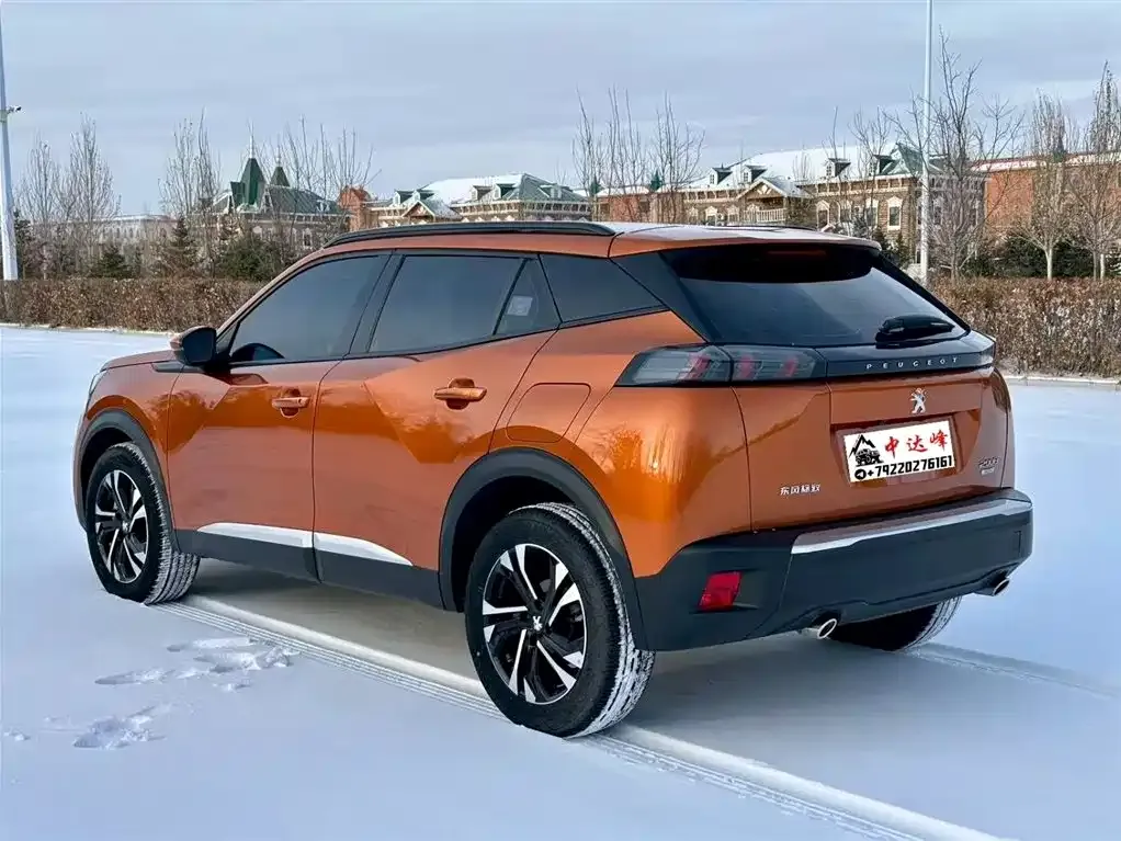 Peugeot 2008 2022 из CN, фото 8