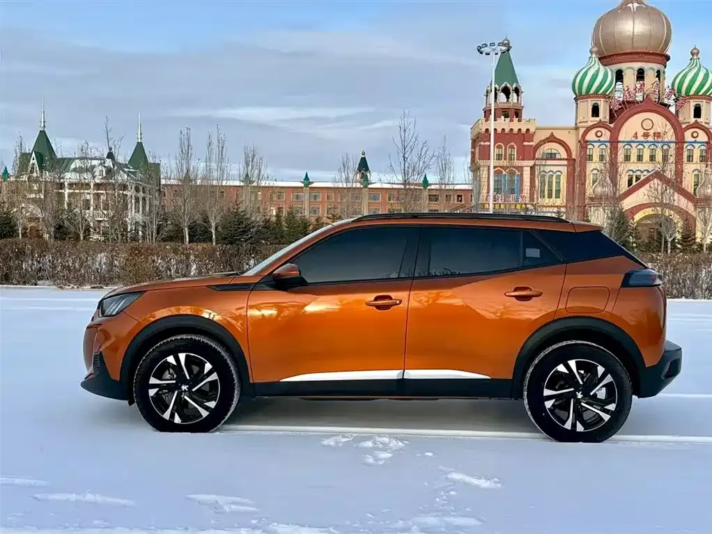Peugeot 2008 2022 из CN, фото 4