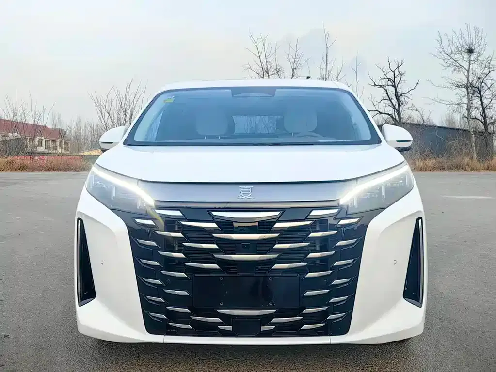 BYD Xia 2025 из CN, фото 6