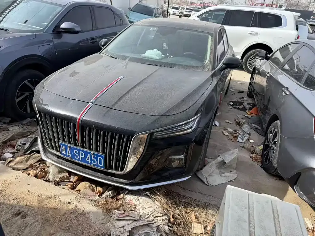 Hongqi H5 2024 из CN, фото 4
