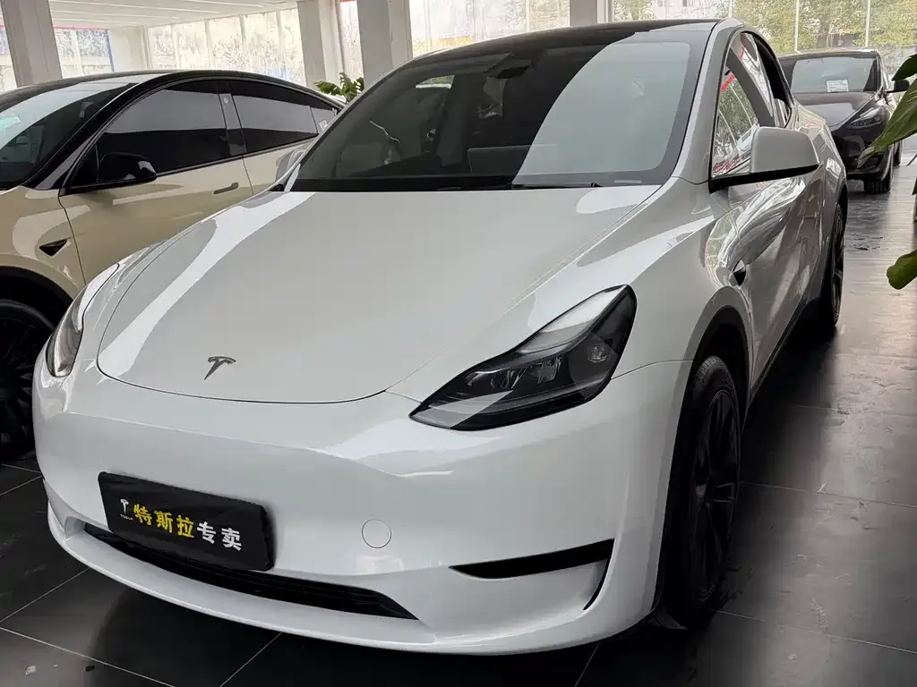 Tesla Model Y — фото 1