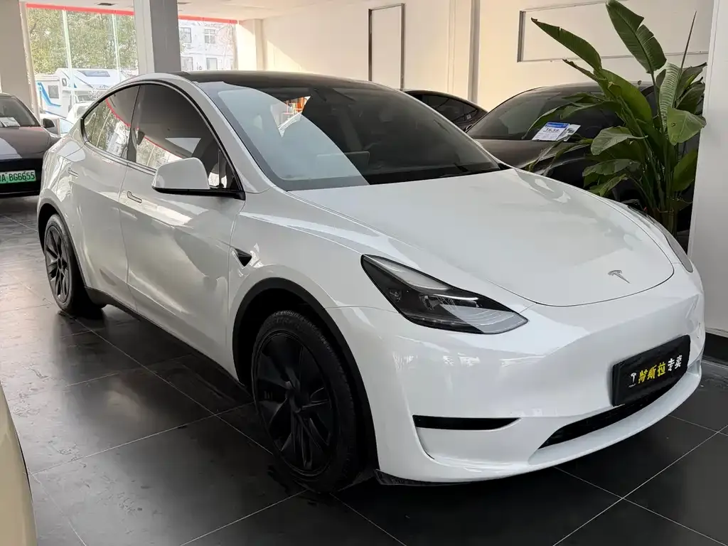 Tesla Model Y — фото 7