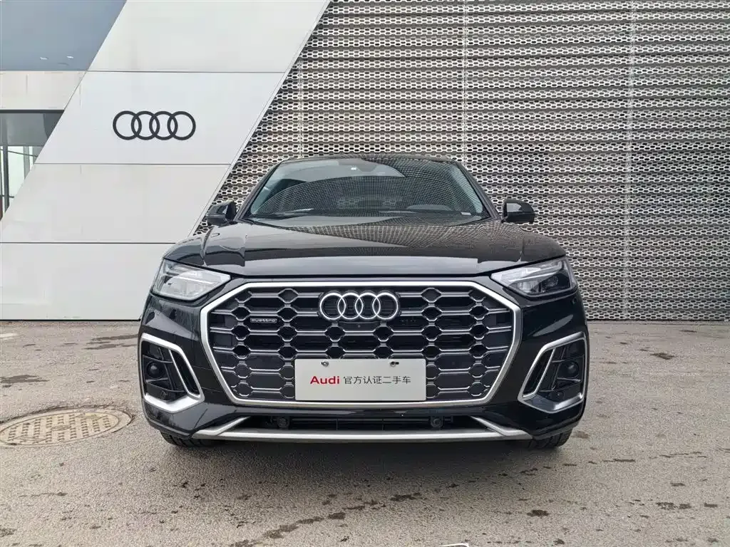 Audi Q5L 2024 из CN, фото 9