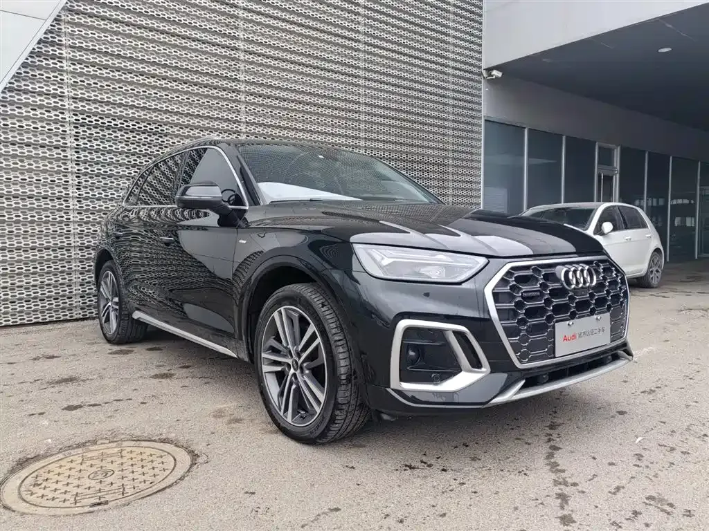 Audi Q5L 2024 из CN, фото 10