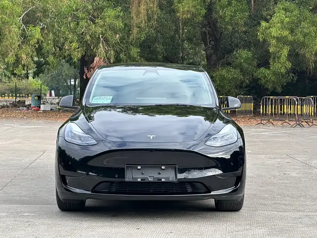 Tesla Model Y 2022 из CN, фото 6