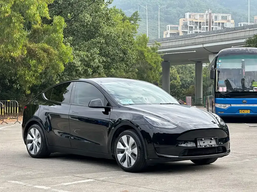 Tesla Model Y 2022 из CN, фото 3