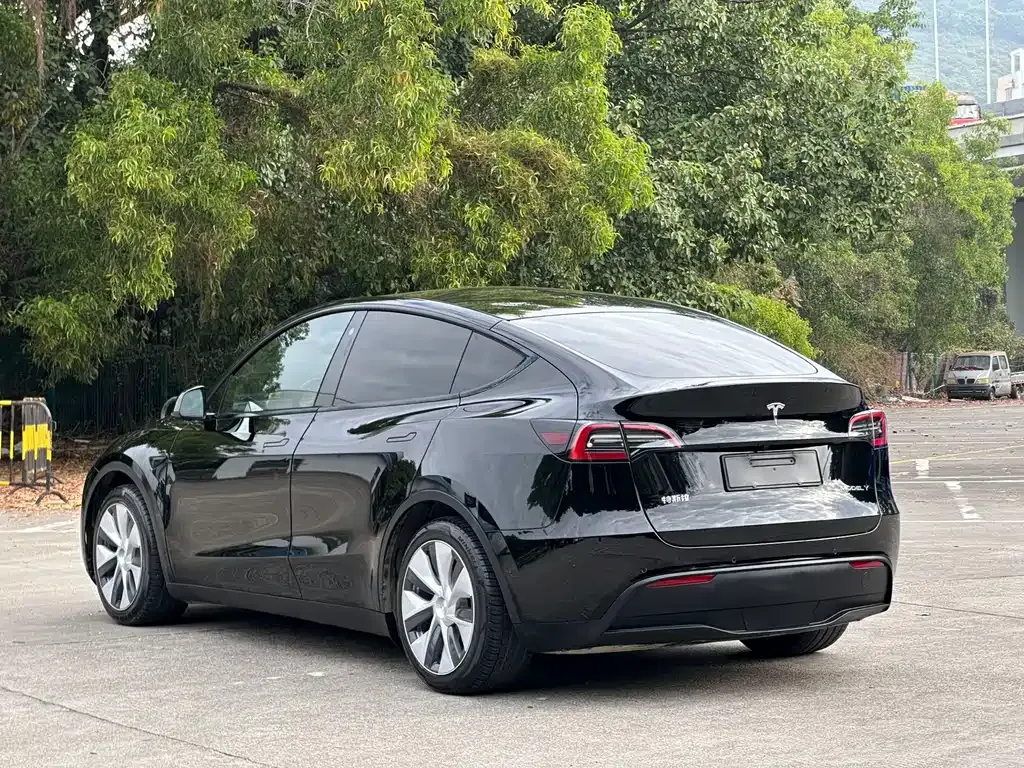 Tesla Model Y 2022 из CN, фото 7