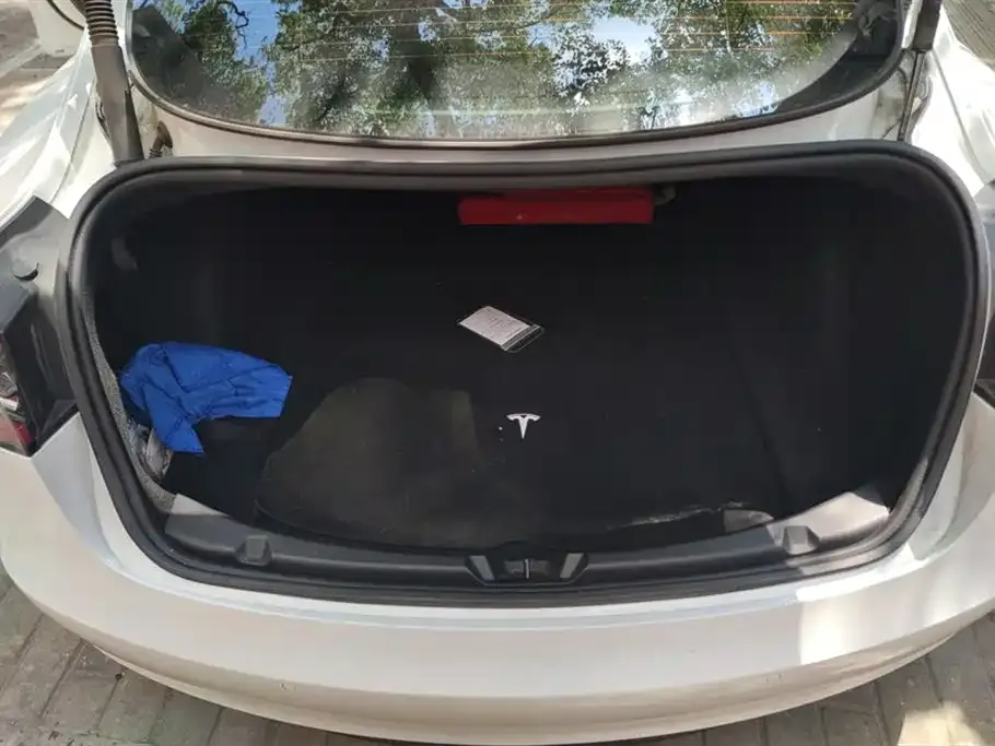 Tesla Model 3 2022 из CN, фото 10