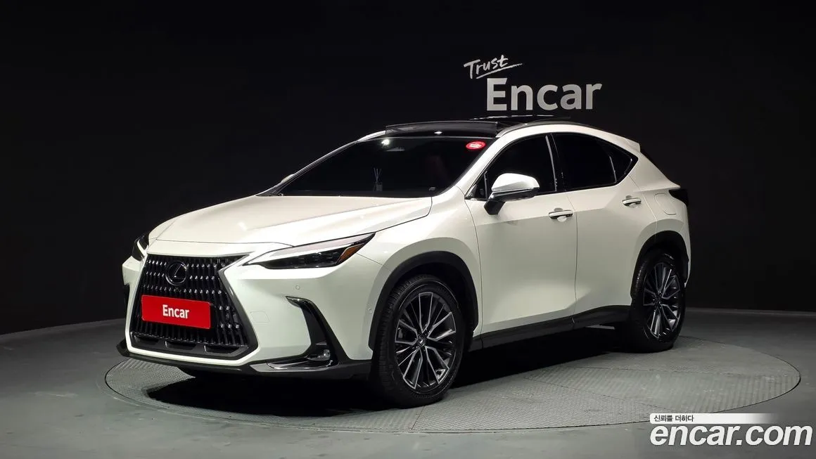Lexus NX 2025 из KR, фото 1