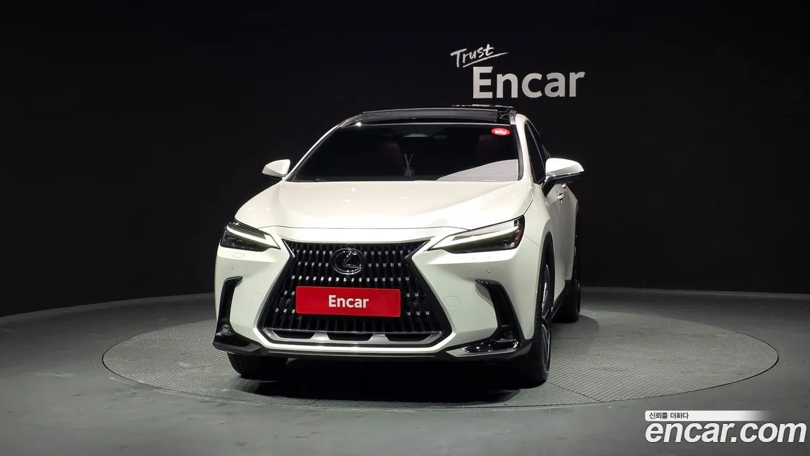 Lexus NX 2025 из KR, фото 5