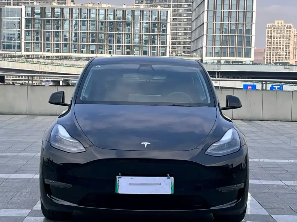 Tesla Model Y 2022 из CN, фото 5