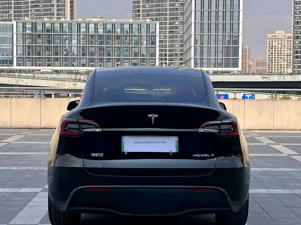 Tesla Model Y 2022 из CN, фото 9