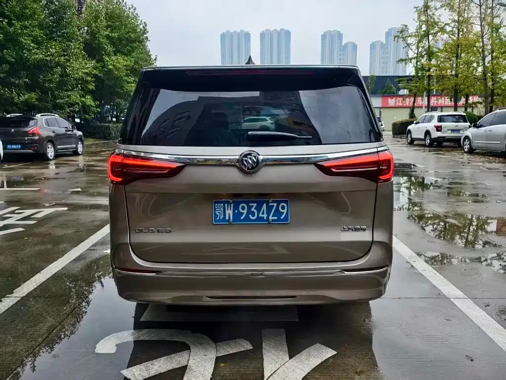 Buick GL8 2023 из CN, фото 6