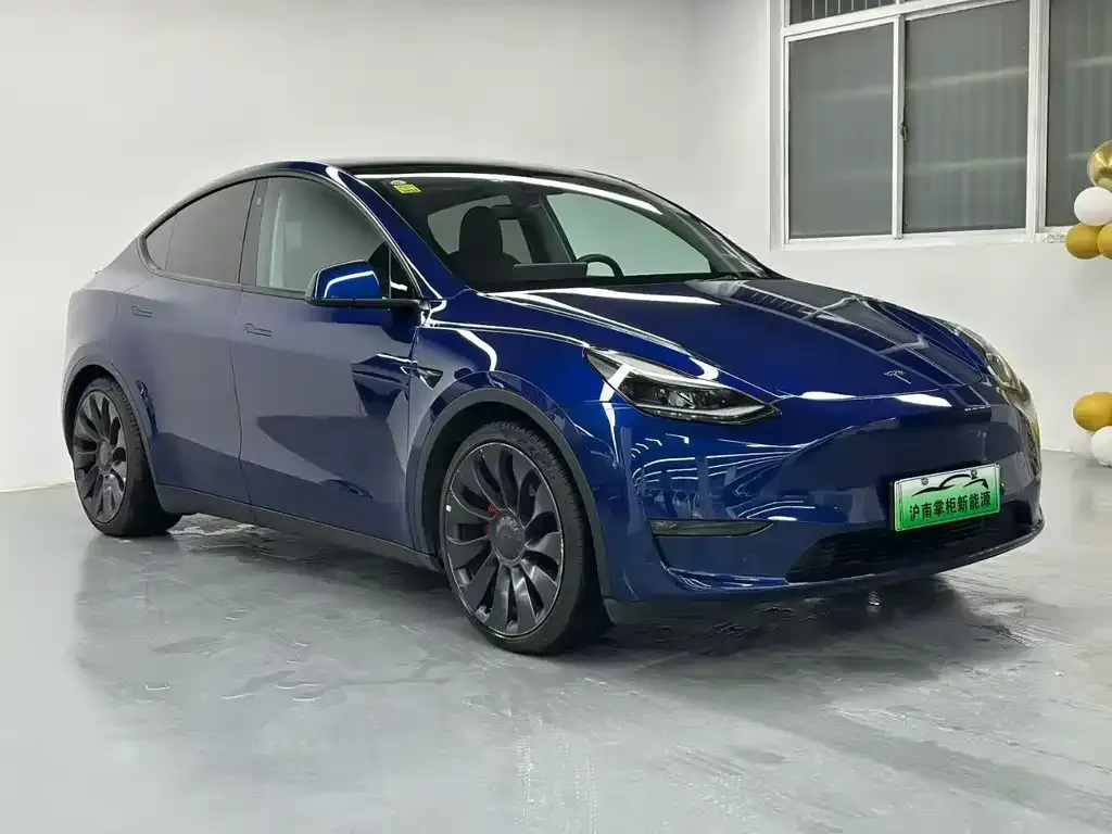 Tesla Model Y — фото 8
