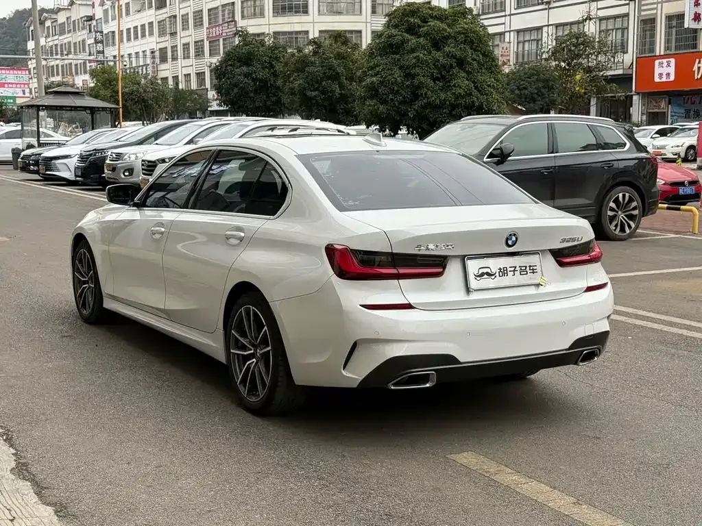 BMW 3 Series 2022 из CN, фото 7