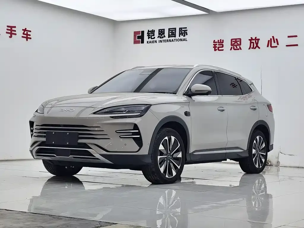 BYD PLUS New Energy 2025 из CN, фото 1