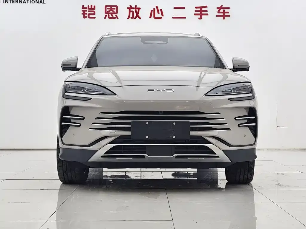 BYD PLUS New Energy 2025 из CN, фото 4