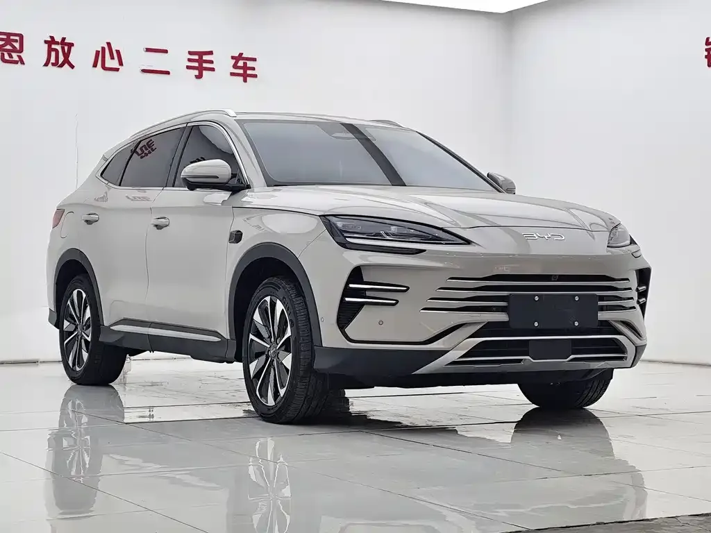 BYD PLUS New Energy 2025 из CN, фото 10