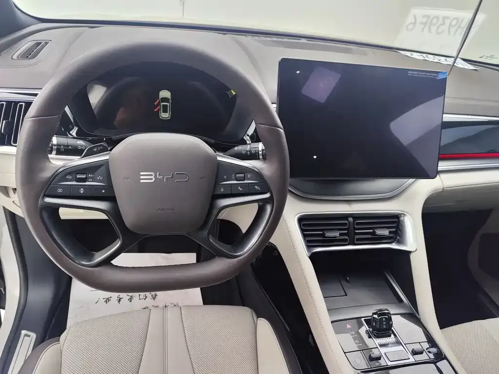 BYD PLUS New Energy 2025 из CN, фото 9