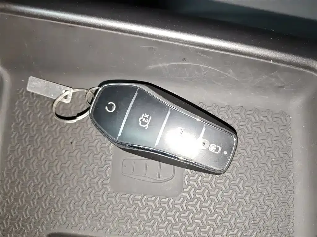 BYD Pro New Energy — фото 8