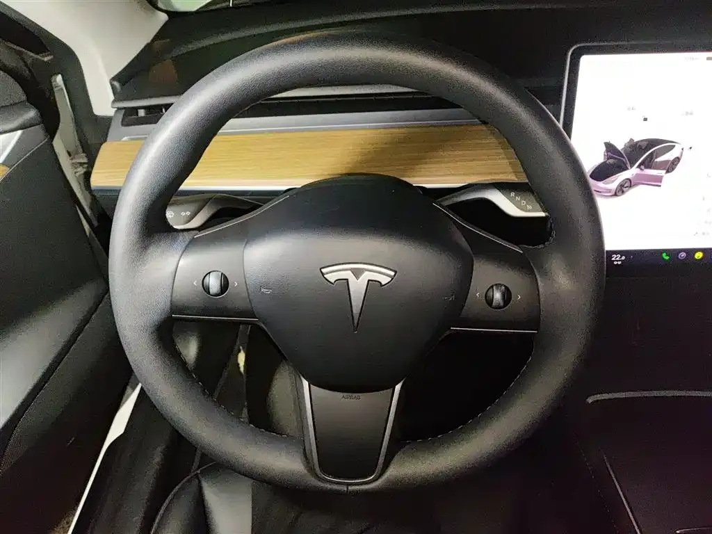 Tesla Model 3 2023 из CN, фото 7