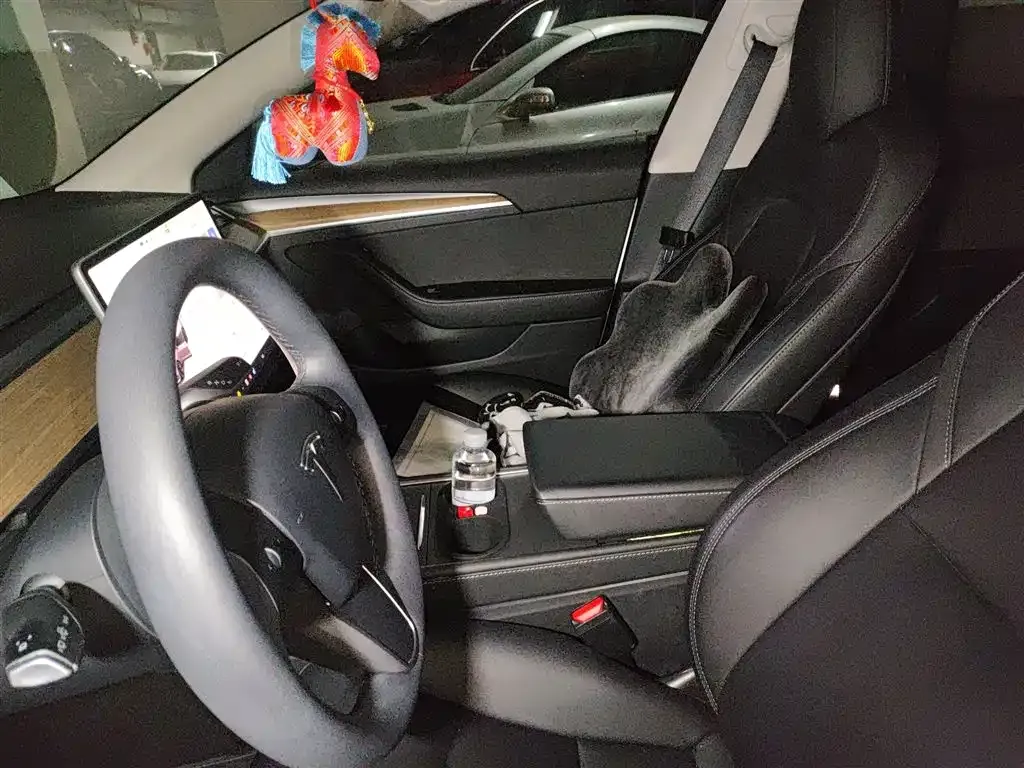 Tesla Model 3 2023 из CN, фото 10