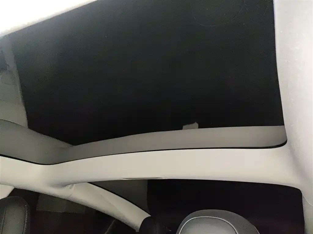 Tesla Model 3 2023 из CN, фото 6
