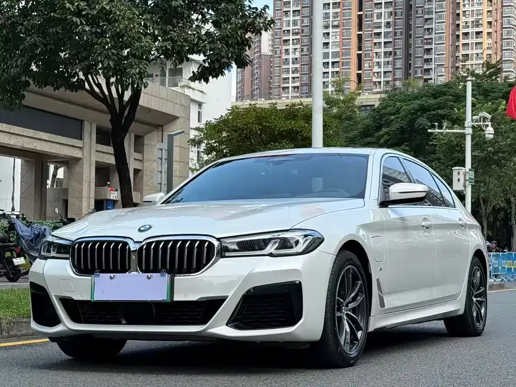 BMW 5 Series New Energy