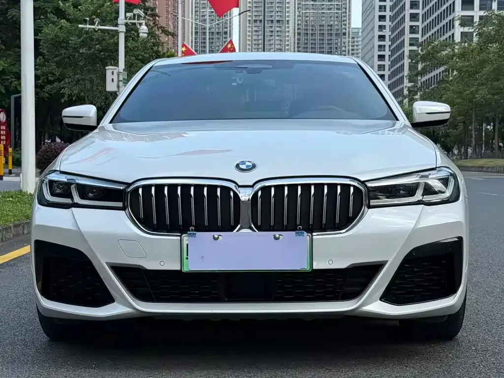 BMW 5 Series New Energy 2021 из CN, фото 8