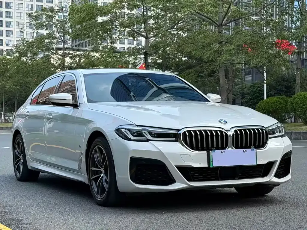 BMW 5 Series New Energy 2021 из CN, фото 4