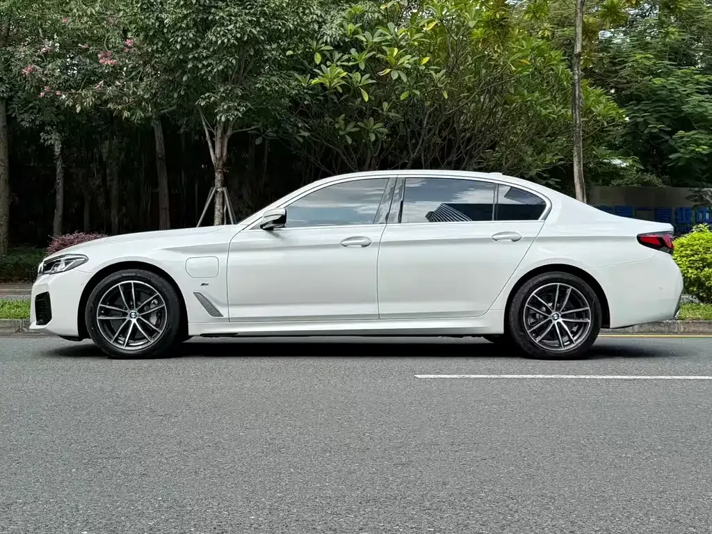 BMW 5 Series New Energy 2021 из CN, фото 9
