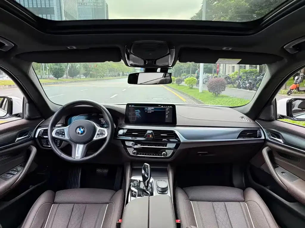 BMW 5 Series New Energy 2021 из CN, фото 2