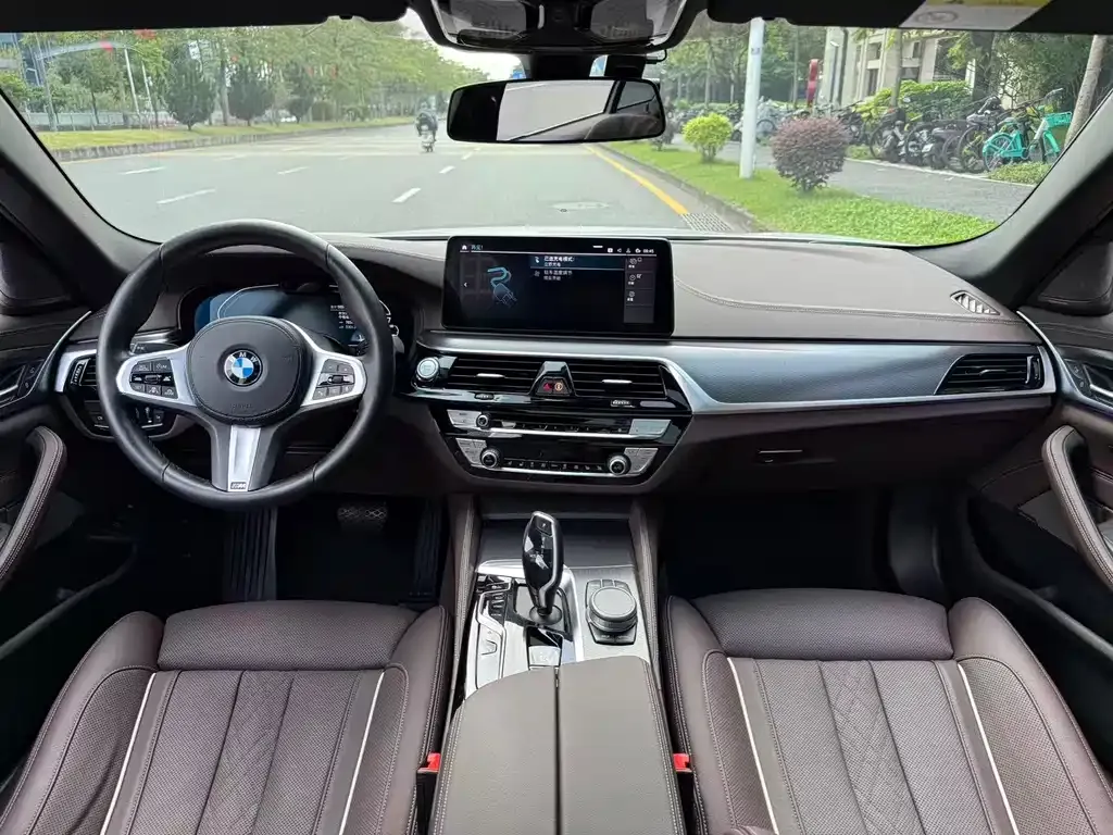 BMW 5 Series New Energy 2021 из CN, фото 3