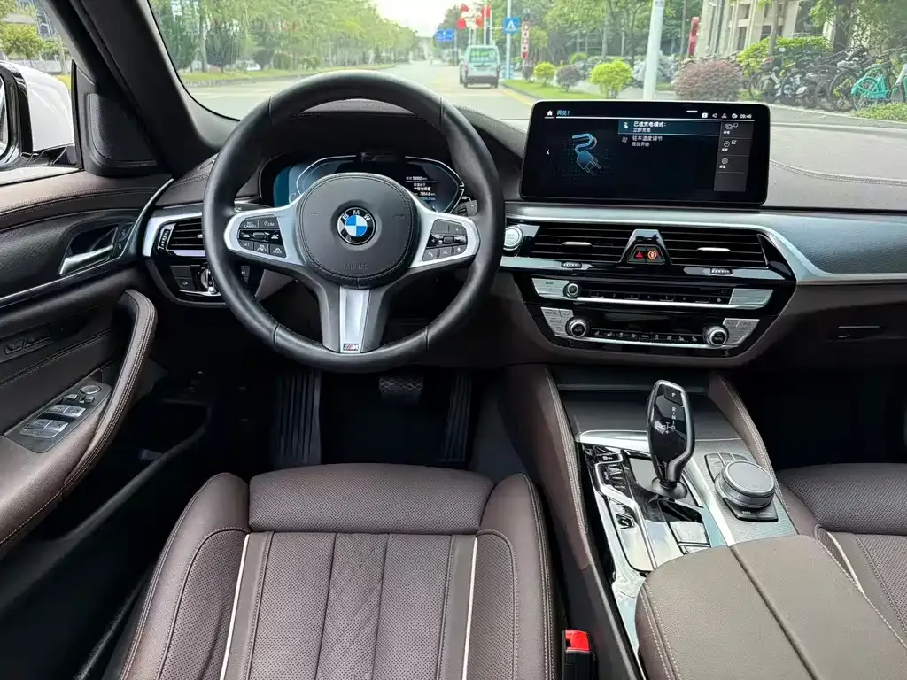 BMW 5 Series New Energy 2021 из CN, фото 6