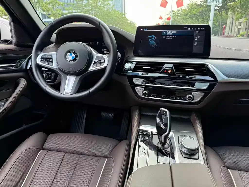 BMW 5 Series New Energy 2021 из CN, фото 7