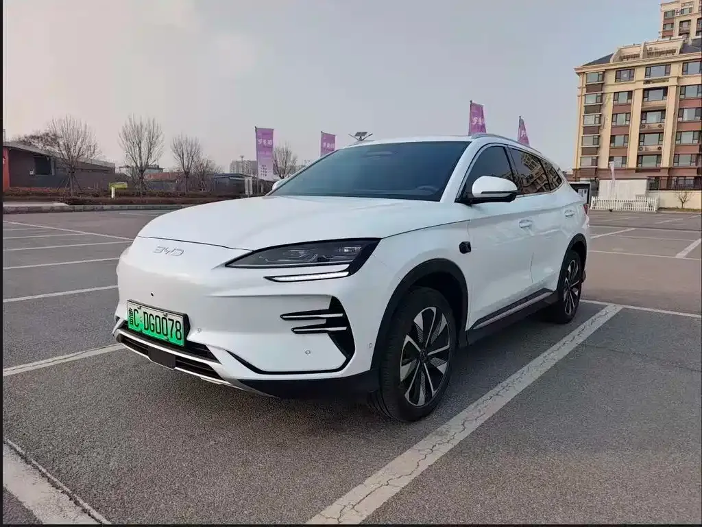 BYD PLUS New Energy — фото 1