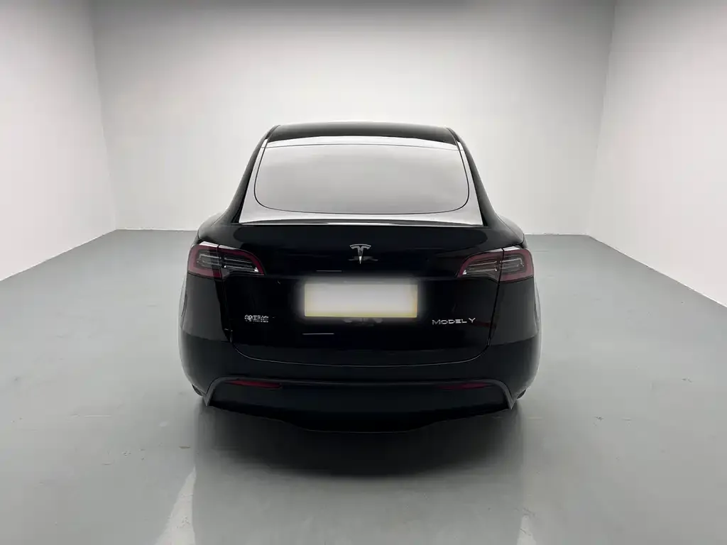Tesla Model Y — фото 5