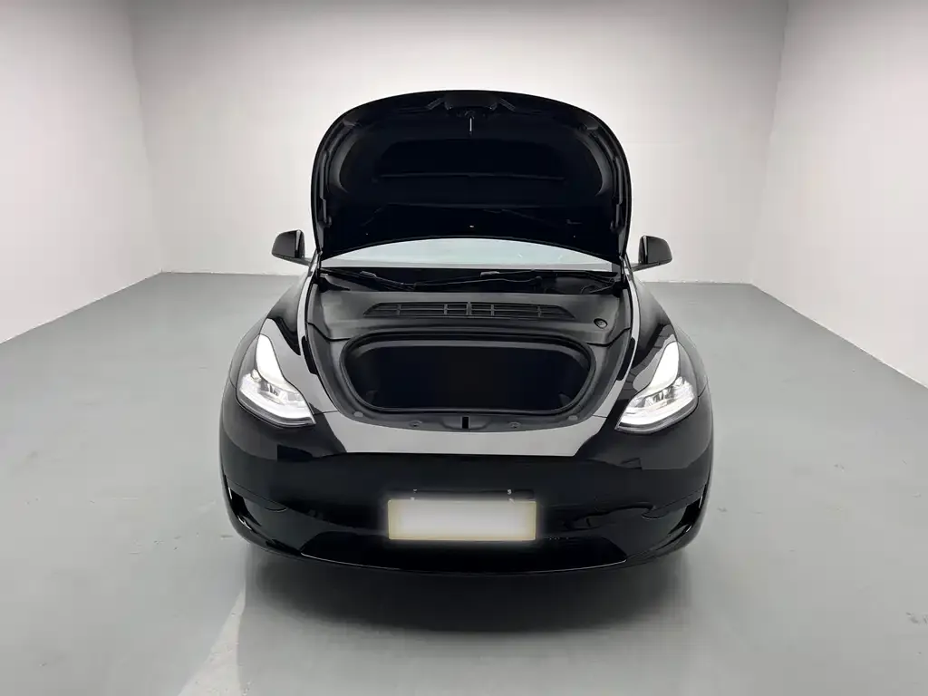 Tesla Model Y — фото 8