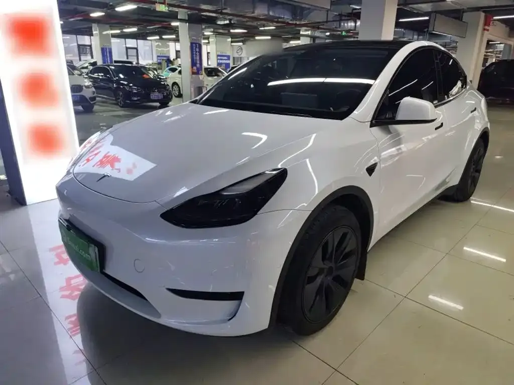 Tesla Model Y 2024 из CN, фото 10
