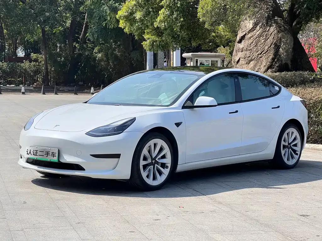 Tesla Model 3 2021 из CN, фото 1